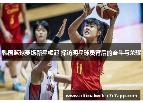 韩国篮球赛场新星崛起 探访明星球员背后的奋斗与荣耀