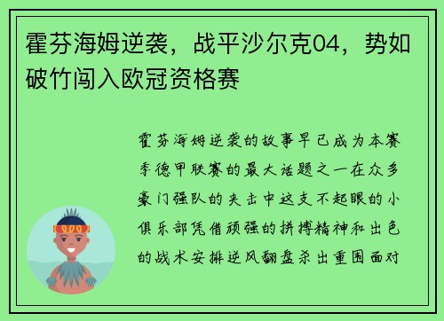 霍芬海姆逆袭，战平沙尔克04，势如破竹闯入欧冠资格赛